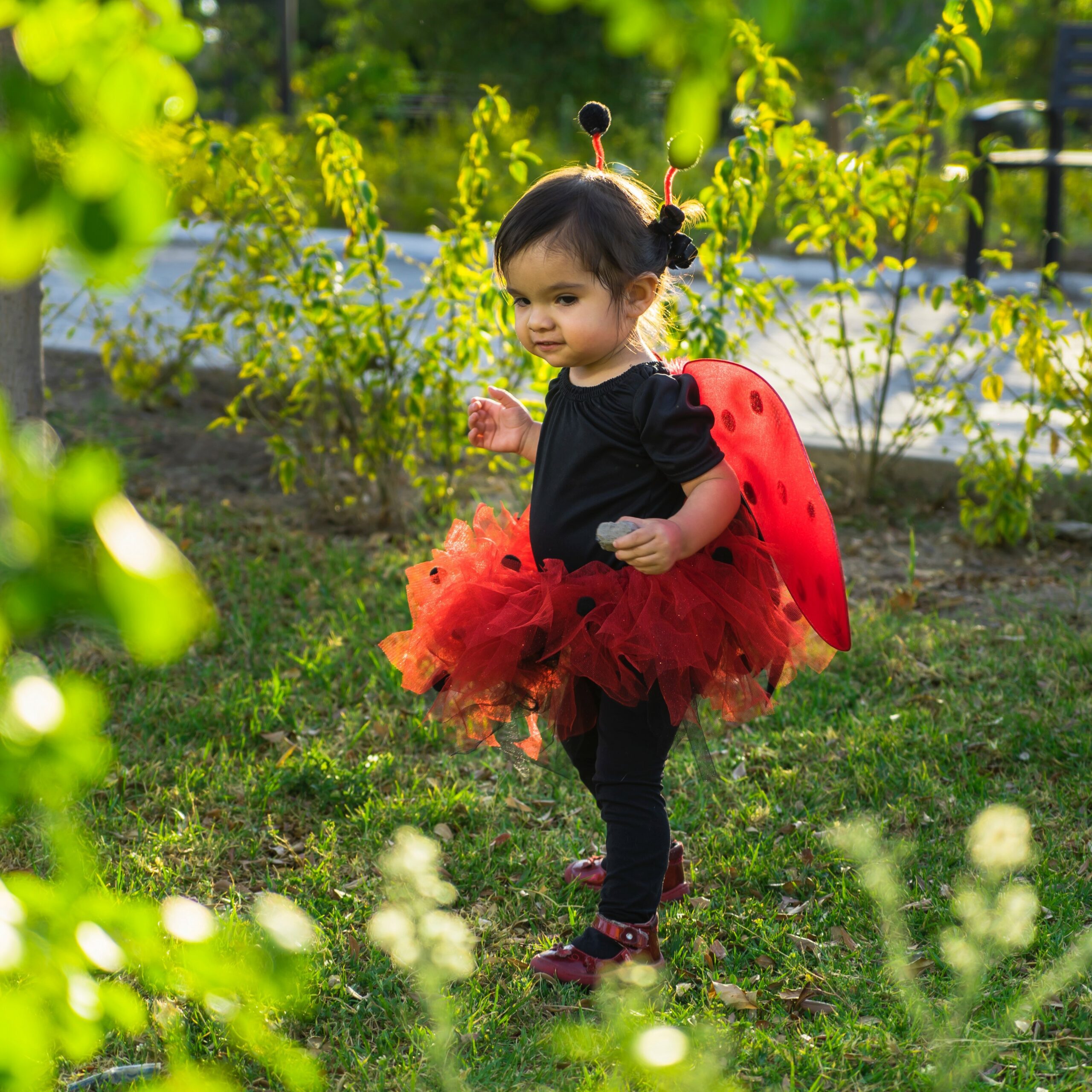 Little girl dressed as lady bug