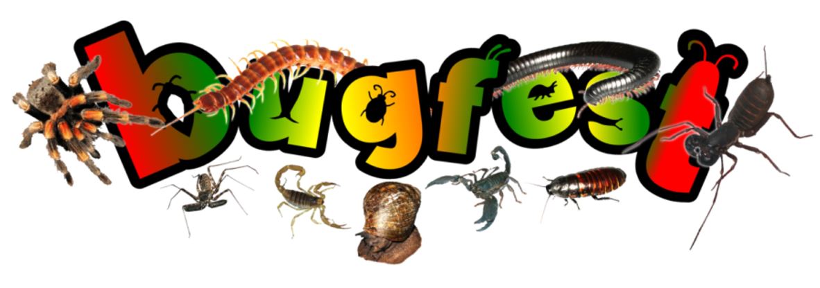 Bugfest logo - part of Creepy Conservation Week